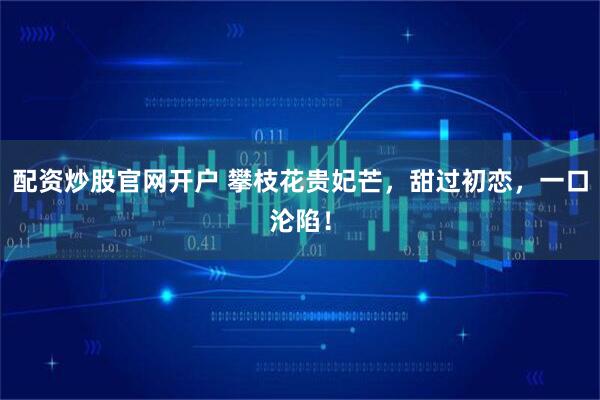 配资炒股官网开户 攀枝花贵妃芒，甜过初恋，一口沦陷！